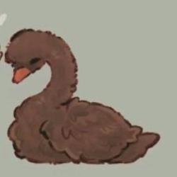 User Profile: Enyyknowsyouspecial