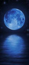 Luna2330 profile picture