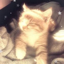 Lucyyyisalwaysbyyourside profile picture