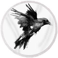User Profile: TheCuriousRaven