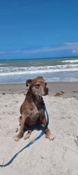User Profile: pamharley003