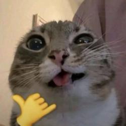 User Profile: simplykris