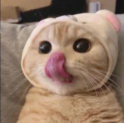 User Profile: awesomeWatermelon5164