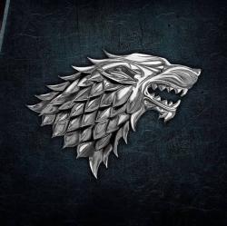 DireWulf3210 profile picture