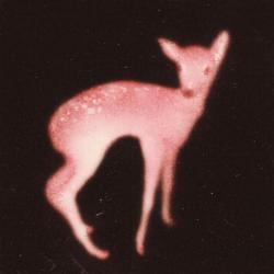 danielsRun242 profile picture