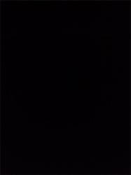 rahkzz profile picture