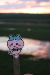 User Profile: Pufffffy