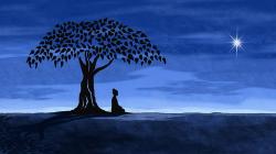 User Profile: TheHumanPhilosophy