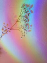User Profile: colourfulSoul8473