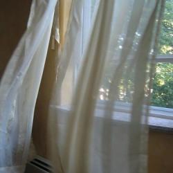 User Profile: freshbreeze20