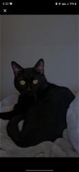 Profile: AnimalOfFood