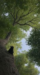 User Profile: Scatterbrained03