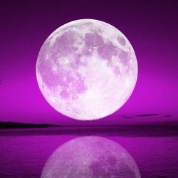 User Profile: Purplemoon1313