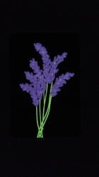 User Profile: lavendersoaks00