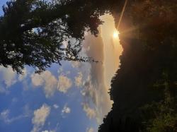 User Profile: 1sunshineinyourlife1