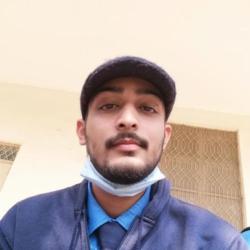 User Profile: whimsicalKoala8530