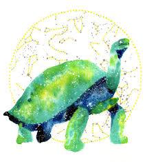User Profile: TurtlesSpirit