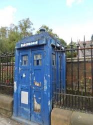 User Profile: Rosetyler19