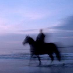 User Profile: knightwithouthorse