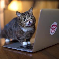 User Profile: Gcat3000