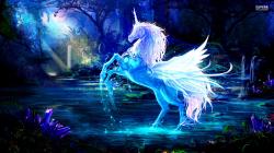 User Profile: CalmCityOfLights6282