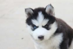 User Profile: blubuutrbly