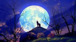 User Profile: royalMoon02