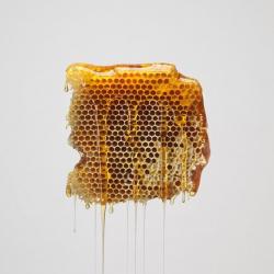 User Profile: SunflowerCrow