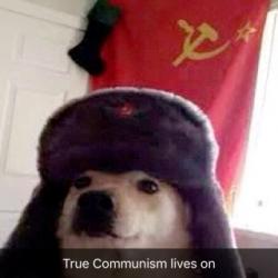 User Profile: TrueCommunistDoggo