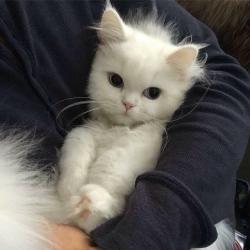 User Profile: Ellafields