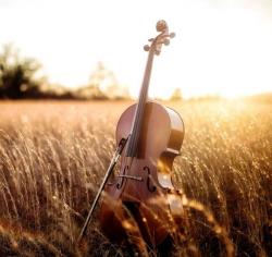 User Profile: cellogirl