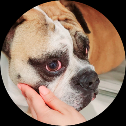 User Profile: HealingHands5