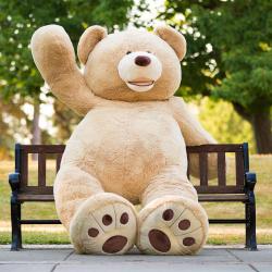 User Profile: Teddylistener