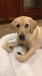 User Profile: kateishere4u