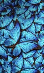 User Profile: energizingSoul9268