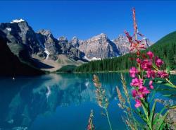 User Profile: colorfulDreamer3593