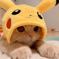 User Profile: CocoMelonD