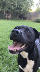 User Profile: ElliotStarr