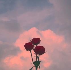 User Profile: ashaftertherain