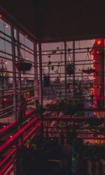 User Profile: ch4tsire