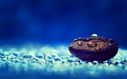 User Profile: adorableadorableCreature