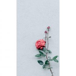 User Profile: 9431m43l