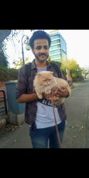 User Profile: Secretadmiral