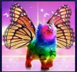 User Profile: FairyFire