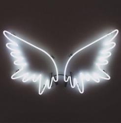 User Profile: GracexGrey31