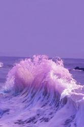 User Profile: AestheticOcean78