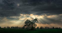 User Profile: PeacefulStorm0828