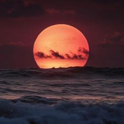 PhoenixOfAphrodite profile picture
