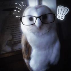affectionateOwl4692 profile picture