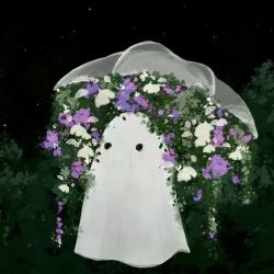 NoAngel113 profile picture